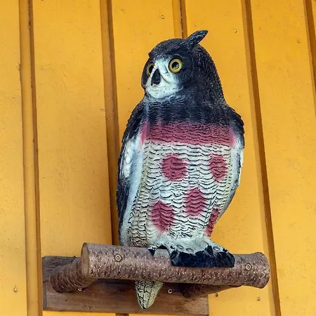 Sandmoen Bed & Breakfast, Free Parking Μοτέλ