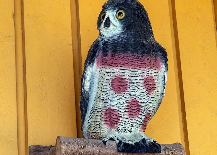 Sandmoen Bed & Breakfast, Free Parking Motell